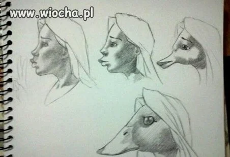 Dzióbek - ewolucja...