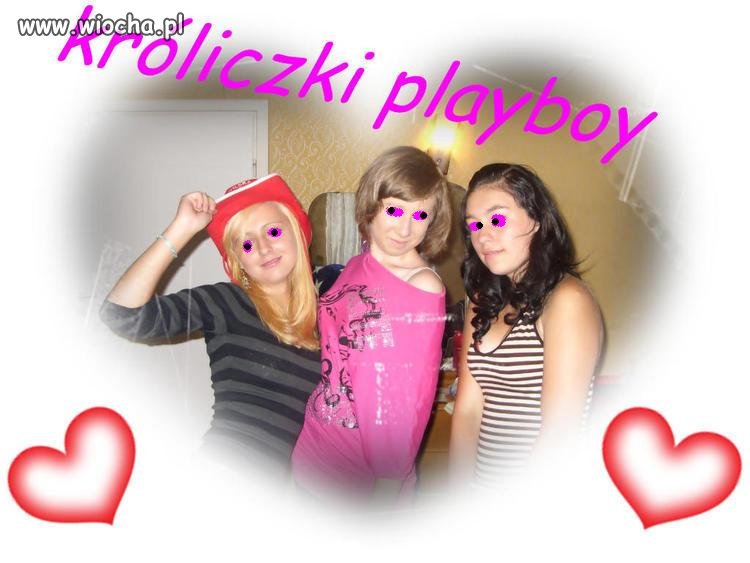 Króliczki playboy 