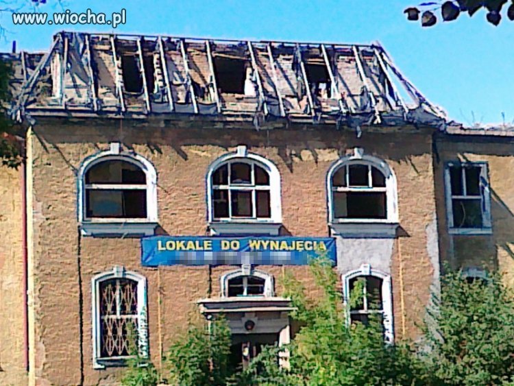 Lokale do wynajęcia...