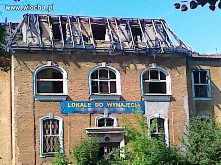 Lokale do wynajęcia...