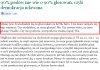 ACTA wybrana dzięki euro matołom