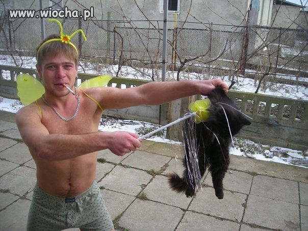 Utalentowany magik