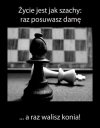 Życie Jest Jak Szachy:
