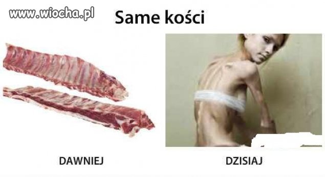 Żeberka