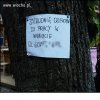 Żadna praca nie hańbi 