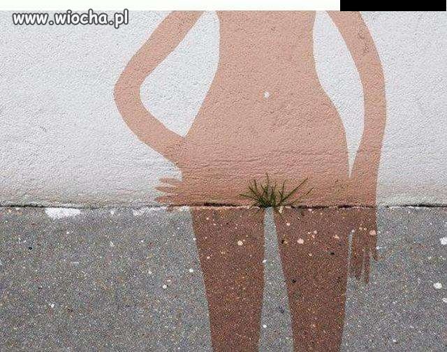 Głodnemu...