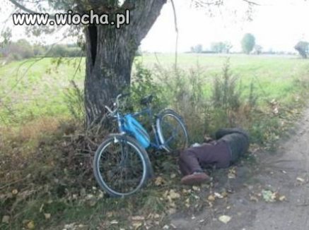 Tu jest dobrze tu jest cień 