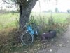 Tu jest dobrze tu jest cień 