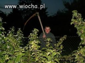 Jestem Ponurym Żniwiarzem!!!