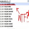 Wujek Google