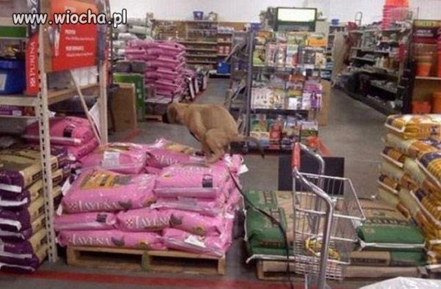 W centrum handlowym - dział ogrodowy
