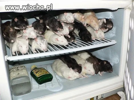 Właściciela tej zamrażarki