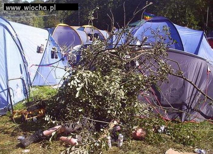 Woodstockowy Bear Grylls