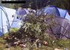 Woodstockowy Bear Grylls