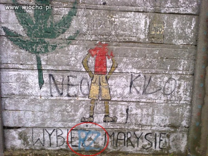 Wybrali Marysię...