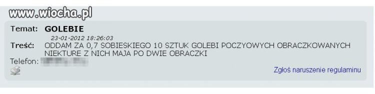 Oddam gołębie...