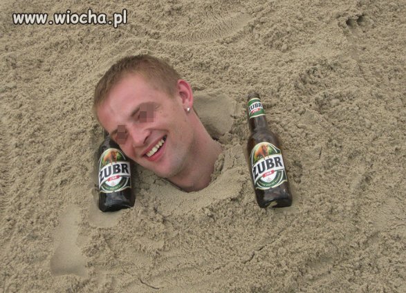 Piękny i uroczy 