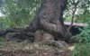 Matka natura sama stworzyla 