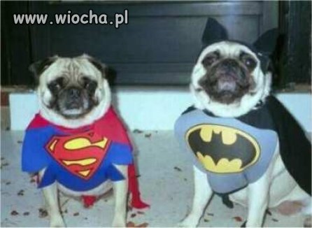 Superman i Batman