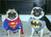 Superman i Batman