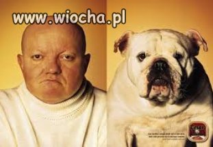 Znajdź dwie różnice