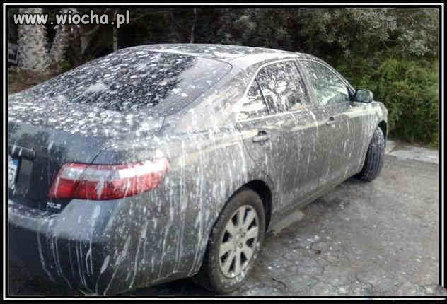 Nie ma to jak