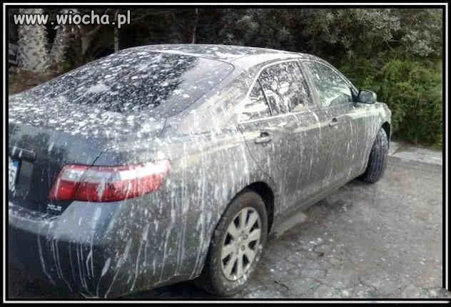 Nie ma to jak