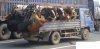 HUMANITARNY TRANSPORT ZWIERZĄT 