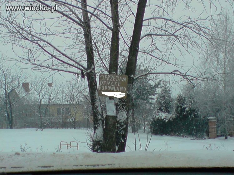 Polska język trudny język