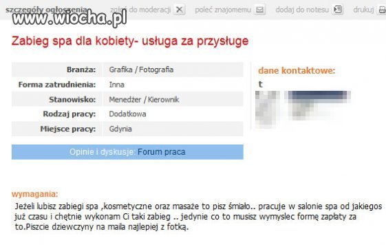 Oferta pracy