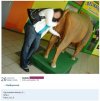 Niektórym tylko jedno w głowie