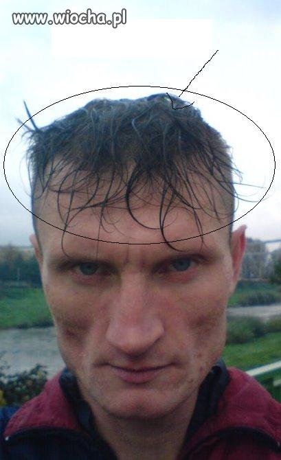 Nowa Moda.