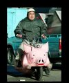 Nawet podobni..