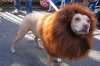 Mufasa