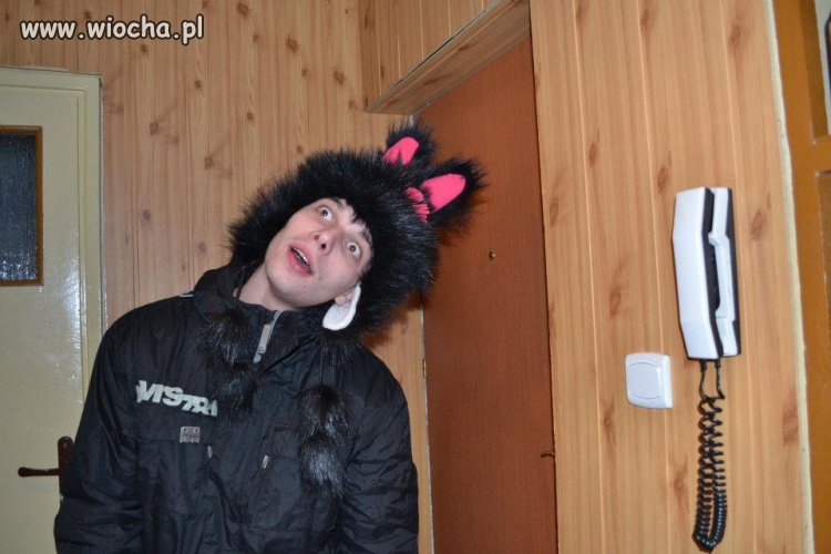 Króliczkecz dostał
