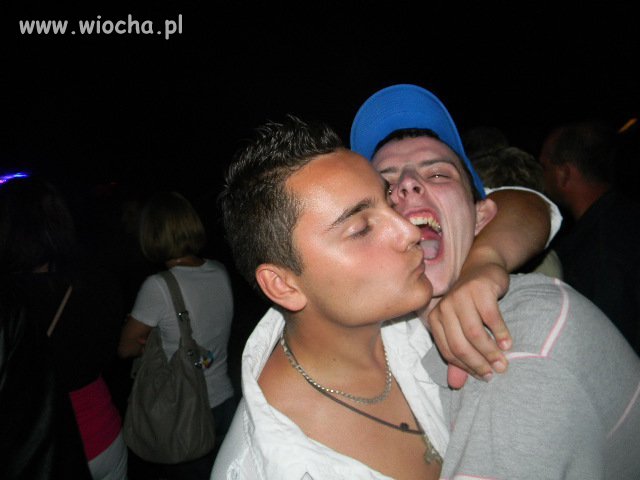Daj kissa