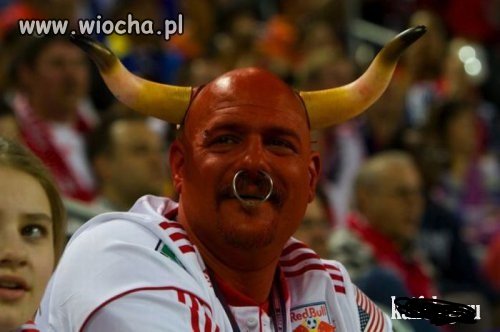 Prawdziwy kibol byków