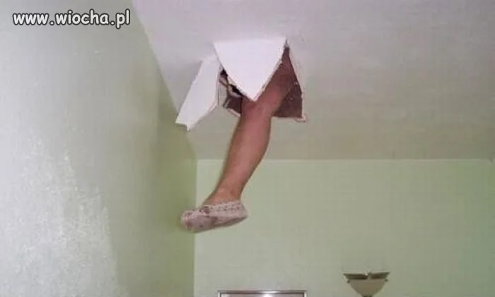 Bo nigdy nie wiadomo na jakich sąsiadów się trafi