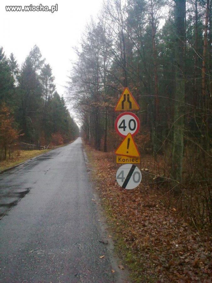 Polskie drogi