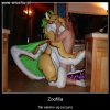 Zoofilia 