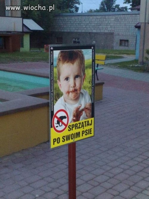 Jestem za a Wy?