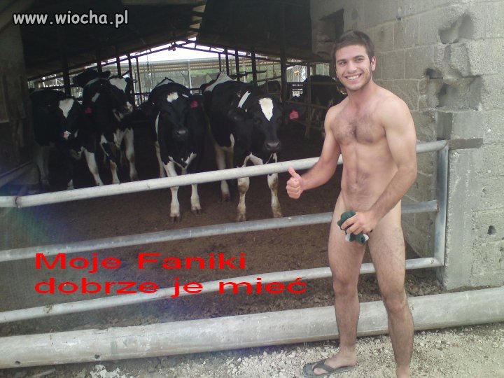 Moje Fanki
