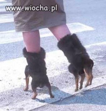 Jeju czego ludzie nie wymyślą