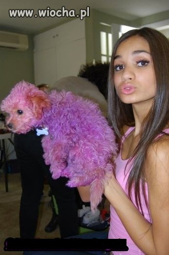 Pia Mia uważała że piesek miał lekkie wady więc