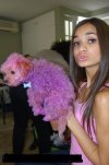 Pia Mia uważała że piesek miał lekkie wady więc
