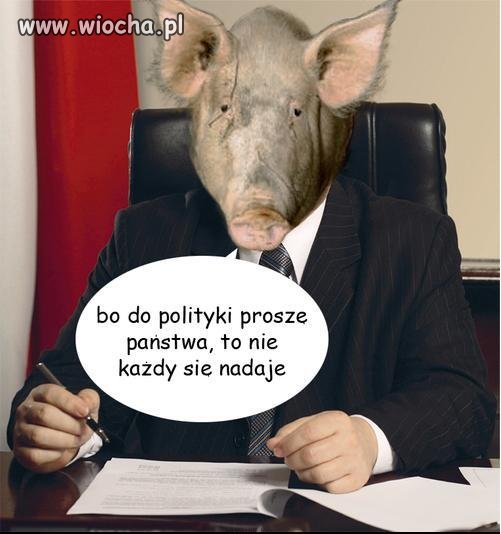Więc liczy się tylko koryto.