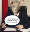 Więc liczy się tylko koryto.