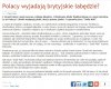 Polacy za granicą