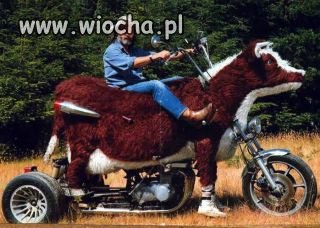 Motocykl 