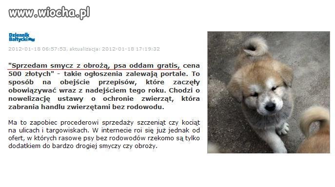Nowe przepisy - Nowe sposoby